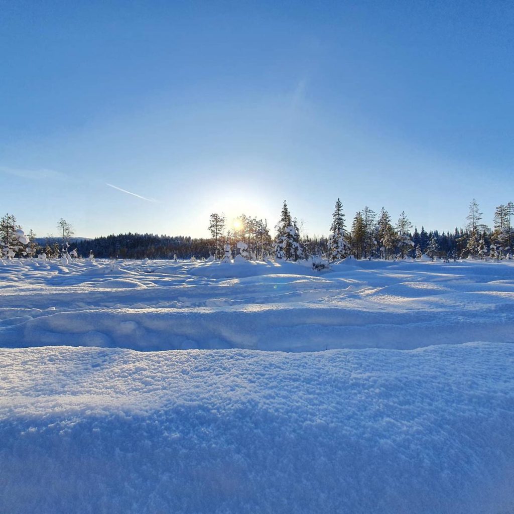 Trail Impressions MONTANE LAPLAND ARCTIC ULTRA