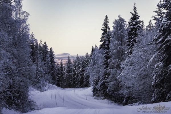 WinterÖverkalix.LinneaIsakssons-3_new